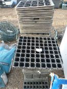 *Quantity of Seed Plug Trays
