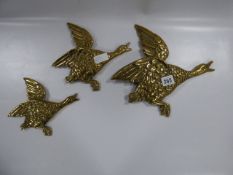3 Brass Flying Ducks