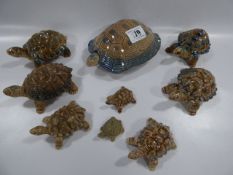 Collection of Wade Tortoises