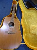 Art Lutherie Acoustic Guitar in Case