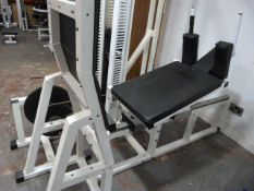 *Power Sport Guardian Leg Press