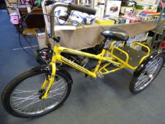 MISSION INDUSTRIAL TRICYCLE