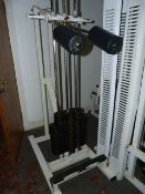 *Standing Calf Raise