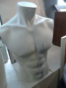 *Male Torso
