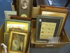 2 Boxes of Framed Prints etc
