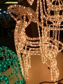 *Illuminating Santa's Reindeer - Small