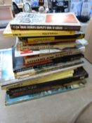 Quantity of Paper Back Books Relating to Karate & Martial Arts & Horror