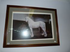 Framed Limited Edition Print of Jupiter