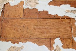Reclaimed Hardwood PARKQUET Flooring - Full Room Measuring Approx 480 x 380 cms - 18 Suare