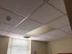 1 x Large Collection of Suspended Office Ceiling Tiles - Buyer to Dismantle and Remove - Lot