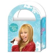 144 x 6pc Packs Of Hannah Montana Cardboard Loot Bags / Party Bags - Each Pack 6 Bags - RRP £5.25