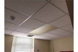 1 x Large Collection of Suspended Office Ceiling Tiles - Buyer to Dismantle and Remove - Lot