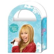 144 x 6pc Packs Of Hannah Montana Cardboard Loot Bags / Party Bags - Each Pack 6 Bags - RRP £5.25