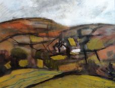 GWILYM PRICHARD mixed media - Welsh landscape with cottage entitled on Martin Tinney gallery label