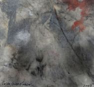 JOHN KNAPP-FISHER acrylic and watercolour on cloth - abstract view looking through tree branches