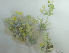 SARA JOHN watercolours - 1) entitled 'Magnolia in a Pot', 10 x 9 ins (26 x 23 cms) 2) celandines 9.5