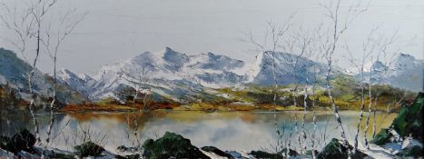 CHARLES WYATT WARREN oil on board - North Wales lake scene, large lake in front of snow covered