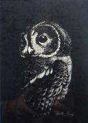 GARETH PARRY dry-point etching - study of an owl, printed signature, 8.5 x 6 ins (21 x 15 cms)