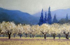 GARETH THOMAS oil on paper - trees in orchard in full blossom with mountains in background, Attic