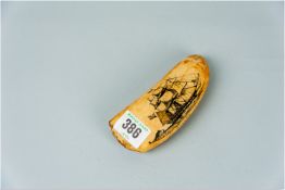 A scrimshaw tooth depicting a full masted sailing ship with the words 'Falcon Jardine Matheson & Co'