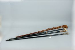 Three ebonized walking canes and a twisted wooden walking stick, various carved and cast materials