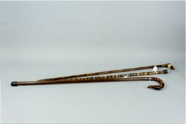 A segmented horn walking stick and a pseudo bamboo cane with a carved horn handle in the form of a