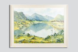 CHARLES WYATT WARREN exhibition quality oil on board - lake scene in the Nantlle Valley with