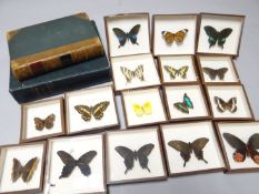 A volume of 'Butterflies and Moths of Europe' by W.F. Kirby, together with further books on