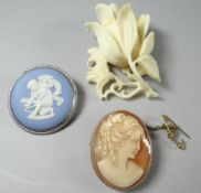 A 9ct yellow gold framed oval cameo; together with a Wedgwood Jasperware brooch and an ivory