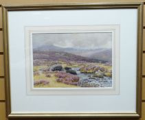 WATERCOLOUR: B Morrish - upland river with heather, signed and dated 1896, 8.5 x 12.5 ins (21.5 x 31