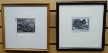 A PAIR OF ETCHINGS: Colin See-Payton - limited edition ornithological studies, entitled 'Tawny