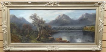 OIL ON BOARD: W Collins - landscape with lake and mountains, signed, 17.25 x 43.25 ins (44 x 110