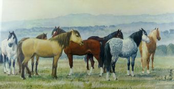 CHARLES FREDERICK TUNNICLIFFE coloured print - group of eight ponies, 13 x 27 ins (33 x 69 cms)