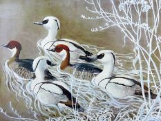 CHARLES FREDERICK TUNNICLIFFE coloured limited edition (489/500) print - wading ducks, signed in