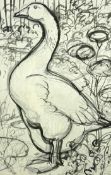 CHARLES FREDERICK TUNNICLIFFE colourwash and pencil - preliminary study of a standing alert goose,