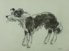 SIR KYFFIN WILLIAMS RA pencil and colourwash - study of an alert sheepdog, signed with initials, 7.5