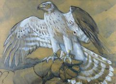 CHARLES FREDERICK TUNNICLIFFE pencil and gouache - an advanced preliminary drawing of a young