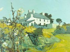 AUDREY HIND oil on board - Anglesey farmstead with flowers in the foreground, signed and entitled