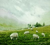 NEIL S HOPKINS watercolour - grazing mountain sheep, signed and dated 1991, 3.75 x 3.5 ins (8 x 9