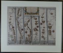 JOHN OGLIBY antique coloured road map 'St David's to Holywell', 13.75 x 17.25 ins (35 x 44 cms)