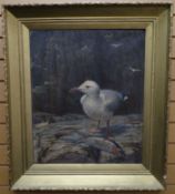 G F HARRIS oil on canvas - study of a gull and caught fish, further nesting gulls to background