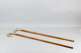 Two Malacca walking canes with horn handles and hallmarked silver collars, London makers, 35 ins (89