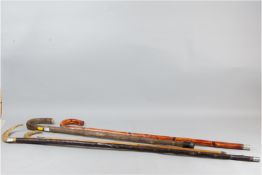 Three natural wood walking sticks, one with curled horn handle, another with similar handle and