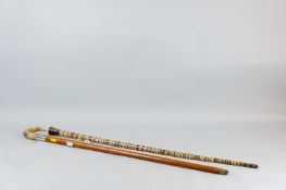 A 19th Century multi-banded horn and bone top walking cane and a Malacca horn topped walking stick