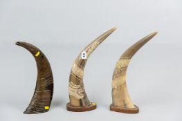 A pair of 20th Century Chinese carved horns having swirling dragon decoration with relief scales,