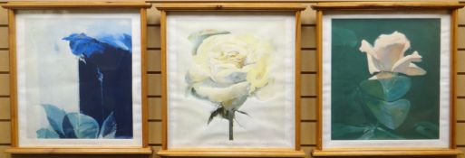 DONALD HAMILTON FRASER set of three coloured prints - botanical studies, signed, 21,5 x 21ins (57