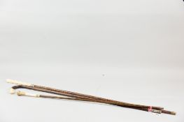 Three various ivory-topped walking canes, one with hallmarked silver ferrule, an 18 ct gold plate