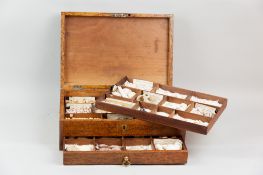 A 19th Century burr walnut collector's cabinet with multi-wood crossbanding and stringing, brass