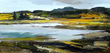 DONALD McINTYRE oil on board - coastal scene with mountains in background entitled verso on Howard