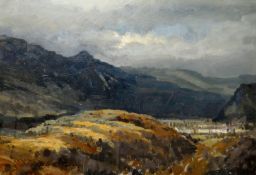 GARETH PARRY oil - landscape in the Blaenau Ffestiniog Valley, signed, 13.75 x 19.75 ins (30 x 50
